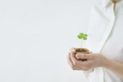 �����񍐎ʐ^